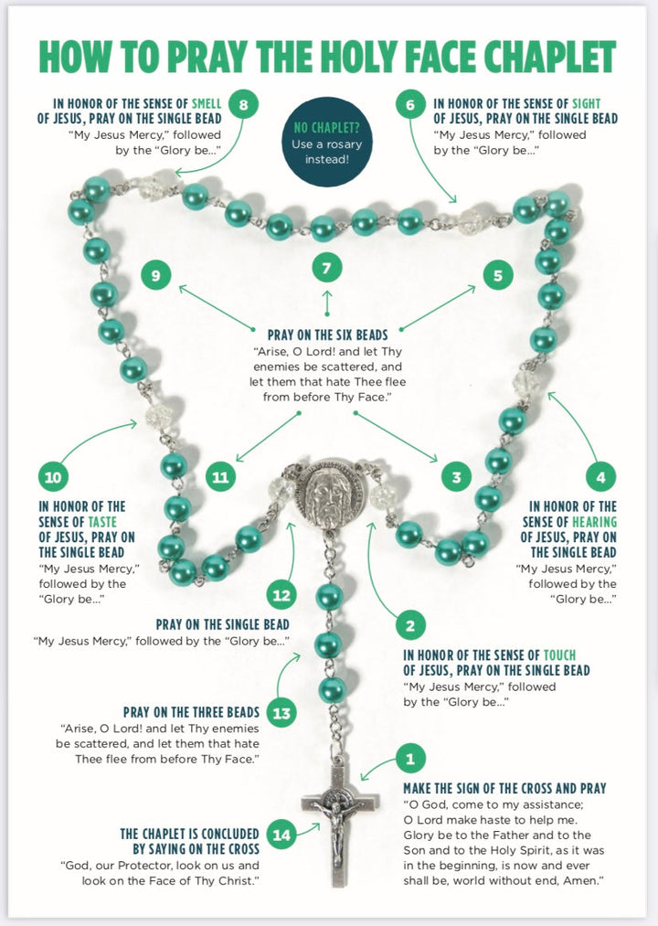 Arise O Lord! Discover the Holy Face Chaplet Holy Card, NEW