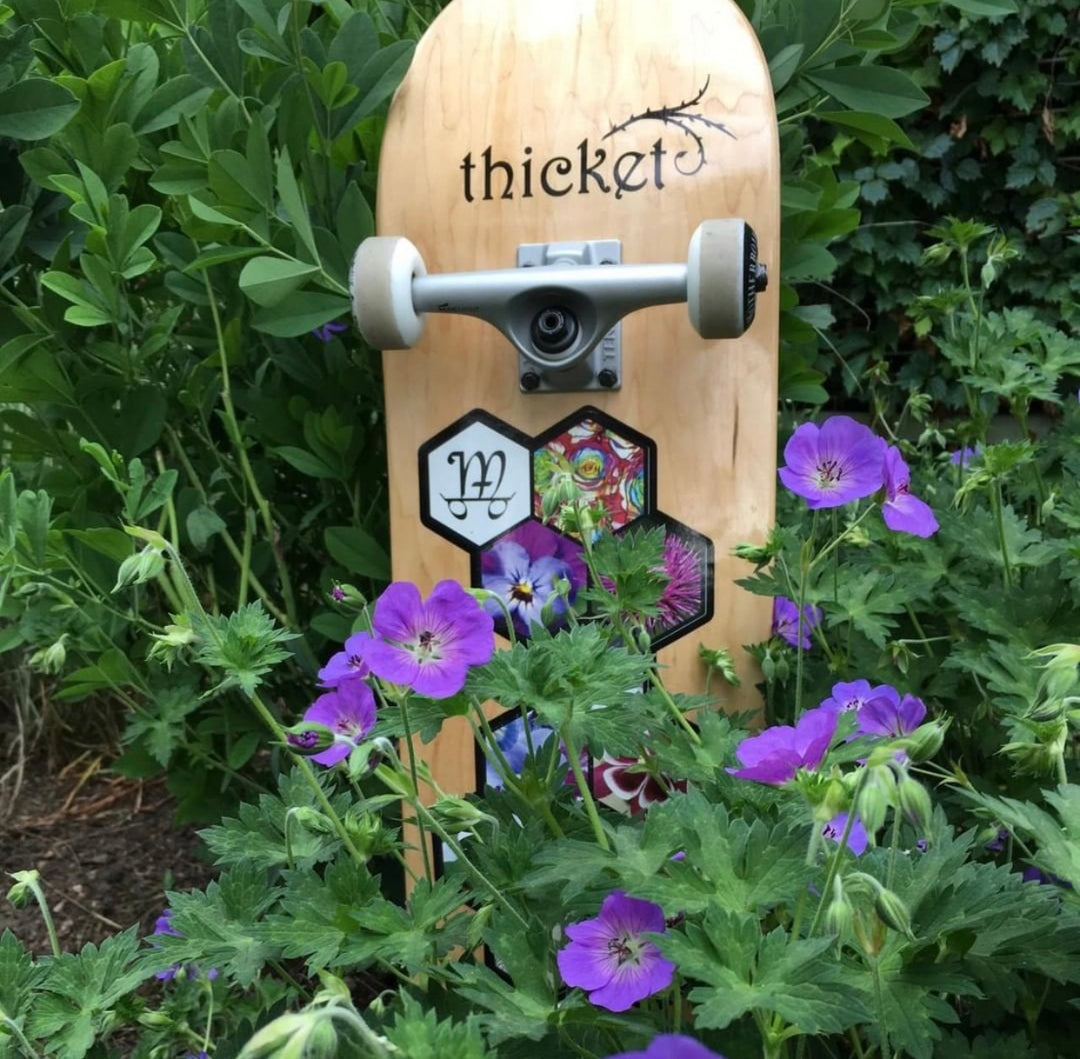 Thicket Complete Skateboard 8.5 Steep