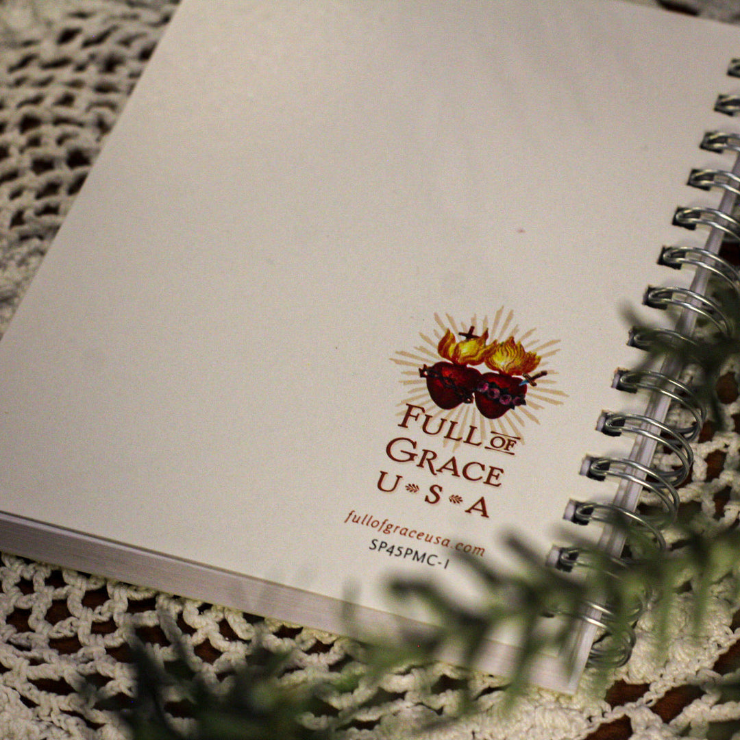 Praying You'll Have a Merry Christmas Mini Notebook