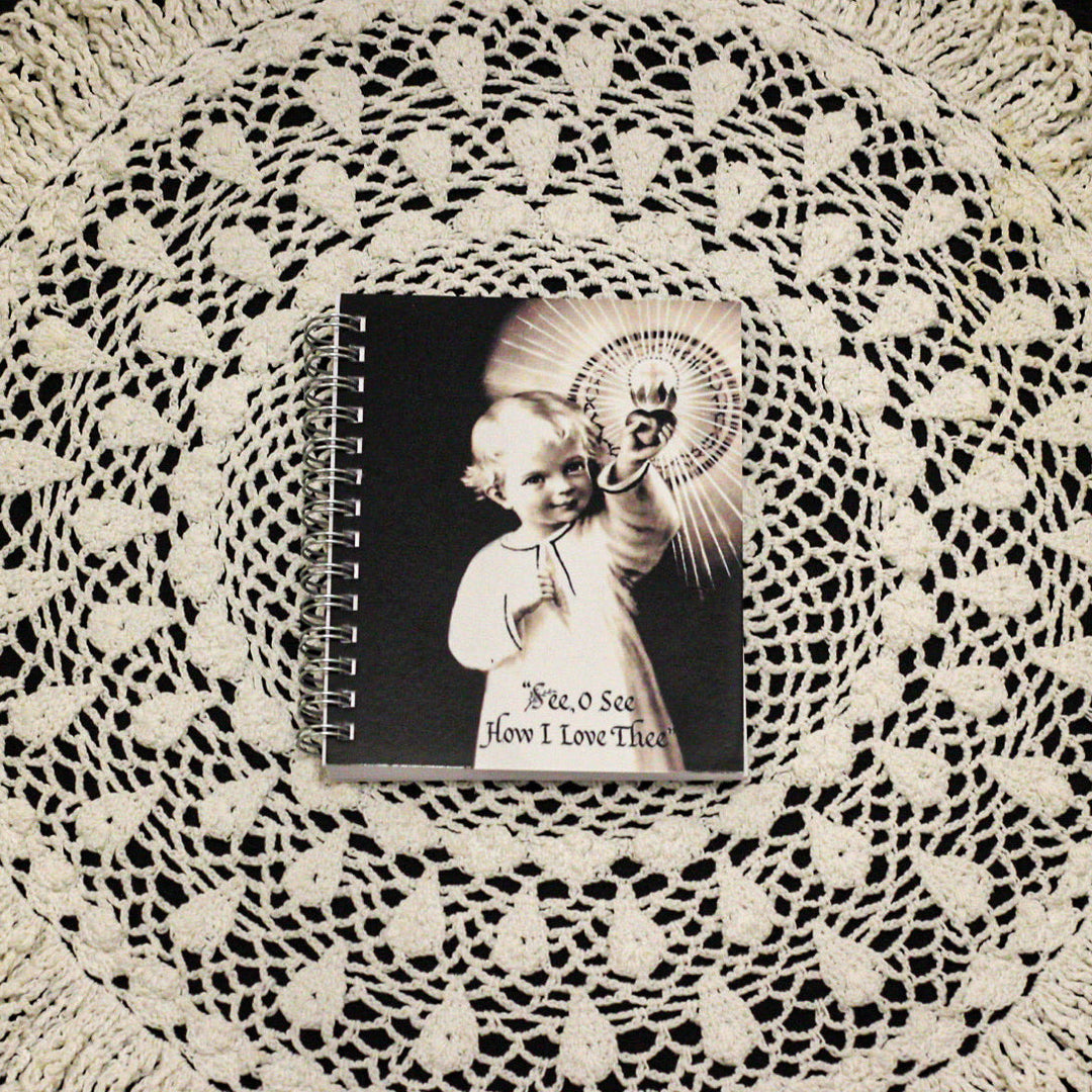 See O' See How I Love Thee Mini Notebook