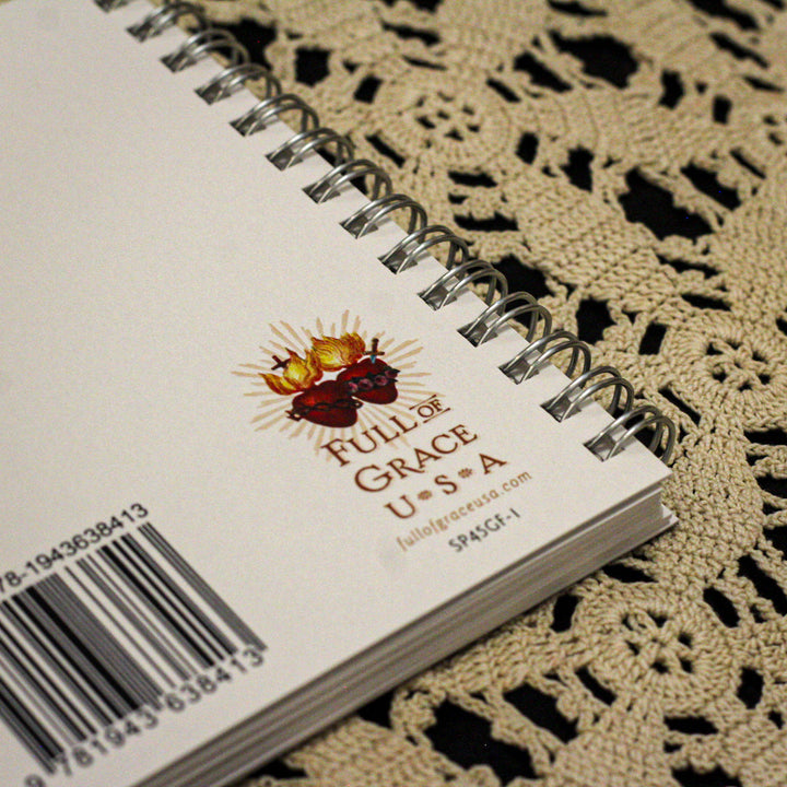 Virgin of Guadalupe/Face Mini Notebook