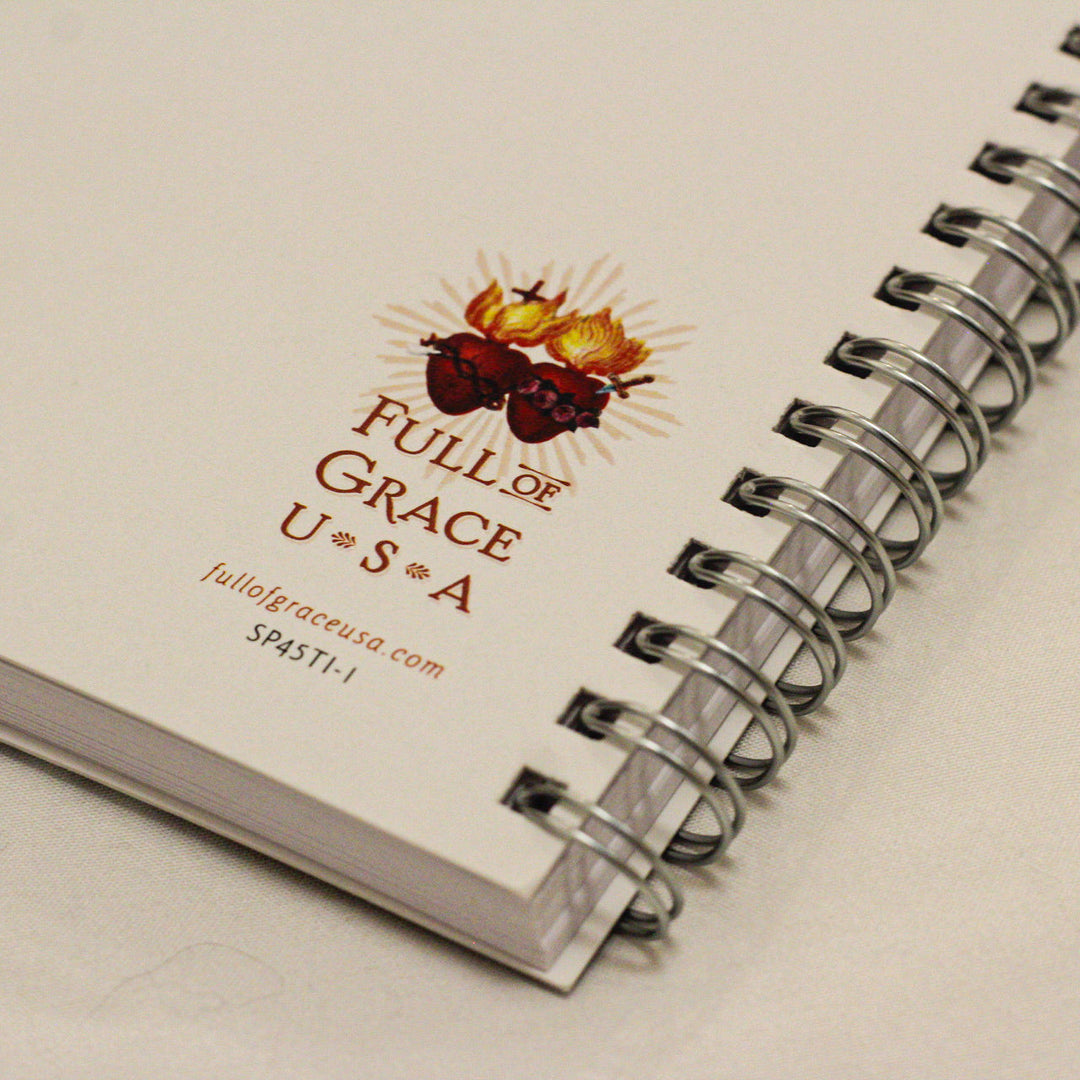 The Innocence Mini Notebook