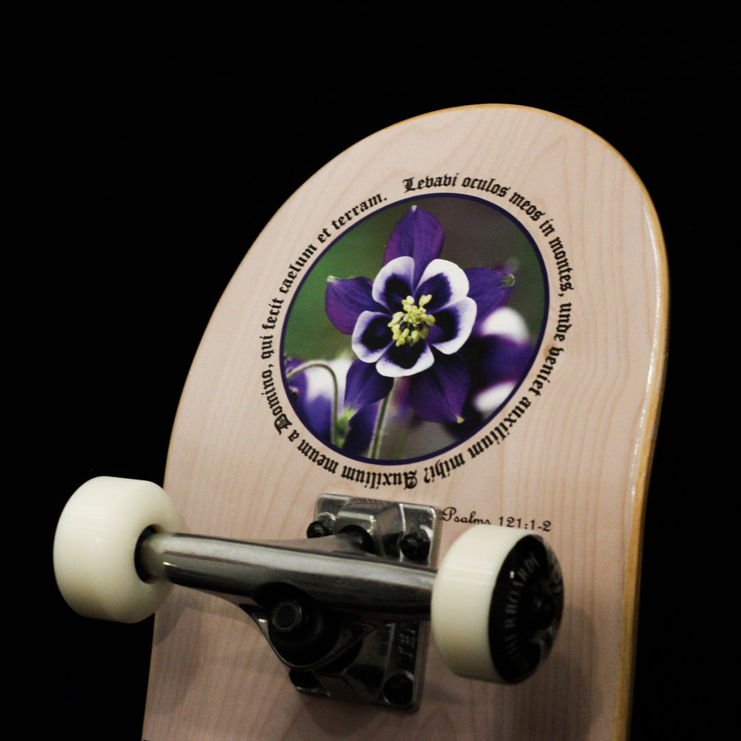 Colorado Complete Skateboard 8.25 Steep