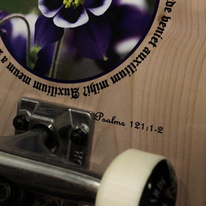 Colorado Complete Skateboard 8.25 Steep