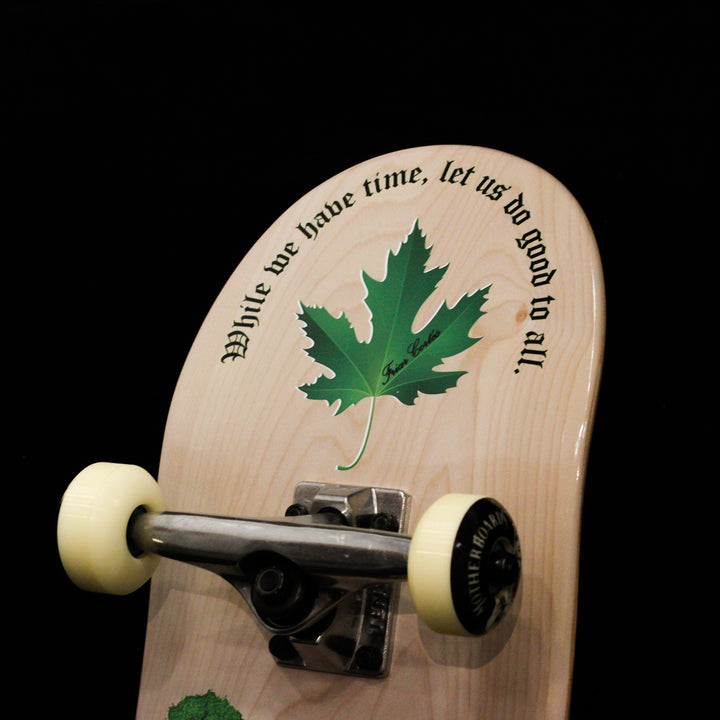 Time Complete Skateboard 8.0 Steep