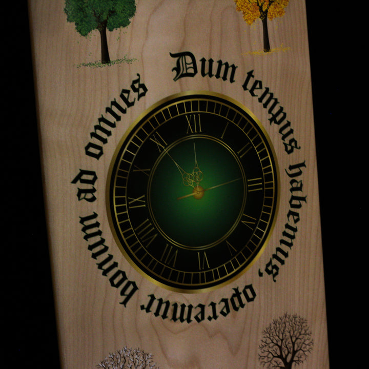 Time Complete Skateboard 8.0 Steep