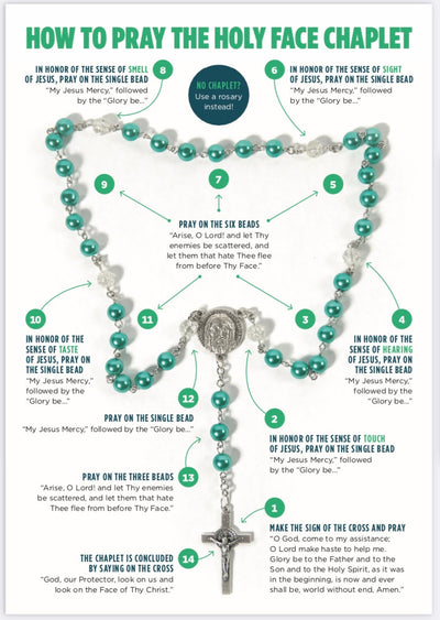 Arise O Lord! Discover the Holy Face Chaplet Holy Card, NEW